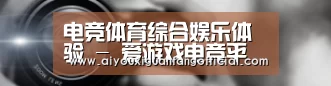 公司动态
